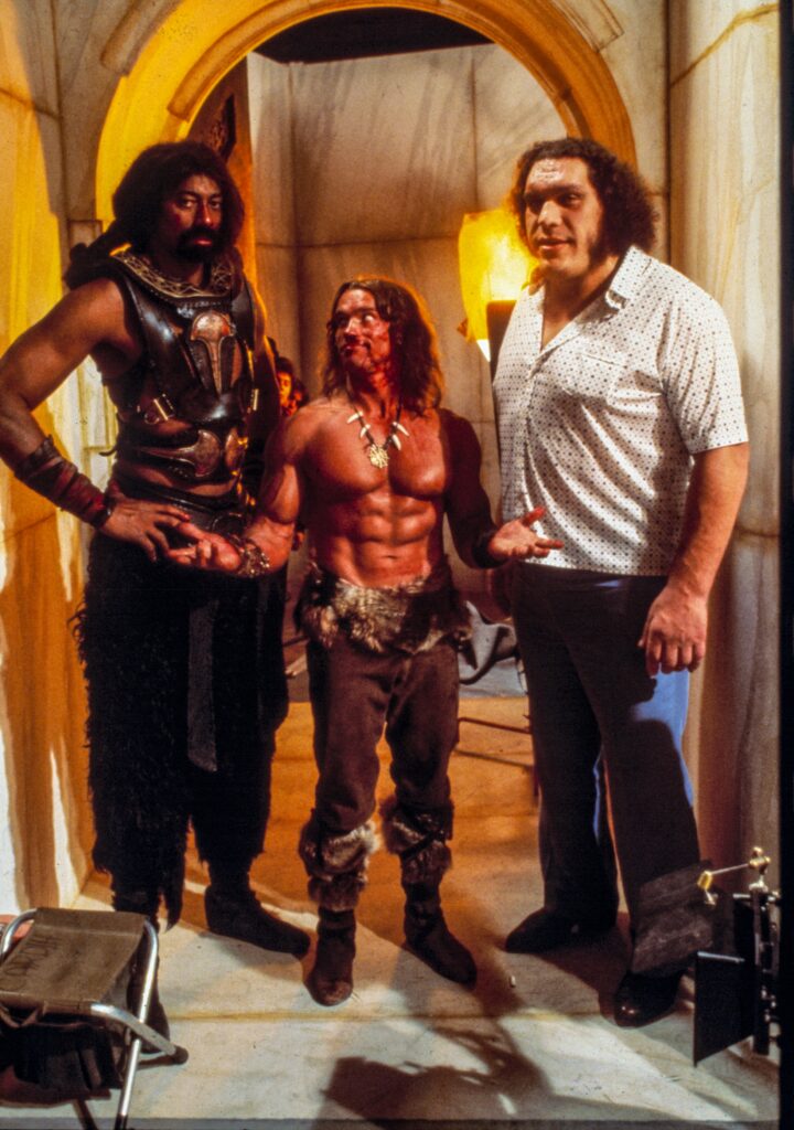 Conan The Barbarian Exploring the Wild Cast of Conan the Destroyer (1984)