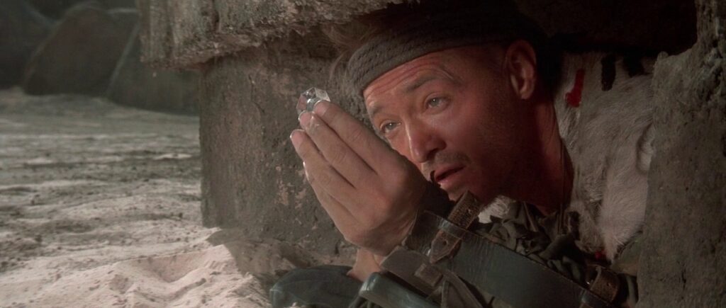 Conan The Barbarian Exploring the Wild Cast of Conan the Destroyer (1984)
